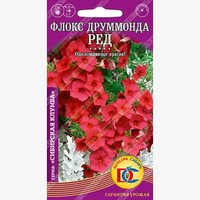 Флокс Друммонда Ред /0,1гр Дем Сиб/