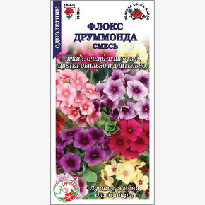 Флокс Друммонда смесь /Сотка/ 0,2г/ h-50см, d-2см/*1500