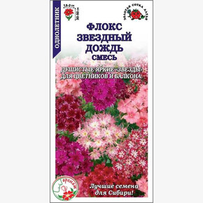 Флокс Звездный Дождь/ Сотка