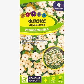 Флокс Изабеллина друммонда/Сем Алт/цп 0,1 гр.
