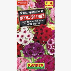 Флокс Искусство теней/ Аэлита