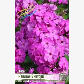 ФЛОКС КАПИТАН ВИКТОРИ