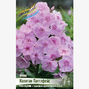 ФЛОКС КАПИТАН ПАГГЛФЕЙС