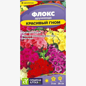 Флокс Красивый гном б/п Деметра