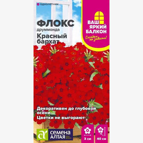 Флокс Красный бархат друммонда/Сем Алт/цп 0,05 гр. Ваш яркий балкон