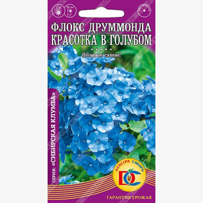 Флокс Красотка в голубом /0,1гр Дем Сиб/