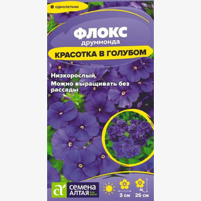 Флокс Красотка в голубом друммонда/Сем Алт/цп 0,05 гр