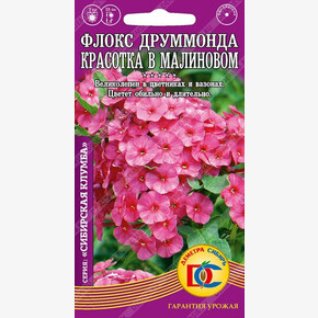 Флокс Красотка в малиновом /0,1гр Дем Сиб/