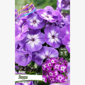 ФЛОКС ЛАУРА