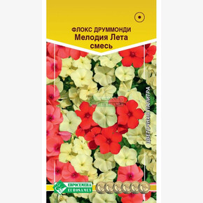 Флокс Мелодия Лета смесь/ Евросемена