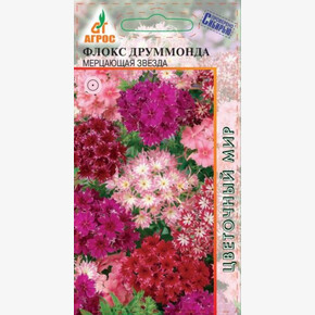 Флокс Мерцающая звезда 0.2г*