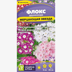 Флокс Мерцающая Звезда б/п Деметра