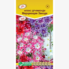 Флокс МЕРЦАЮЩАЯ ЗВЕЗДА смесь (20 шт)/ Евросемена
