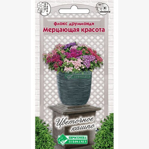 Флокс Мерцающая красота смесь/ Евросемена