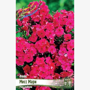 ФЛОКС МИСС МАРИ