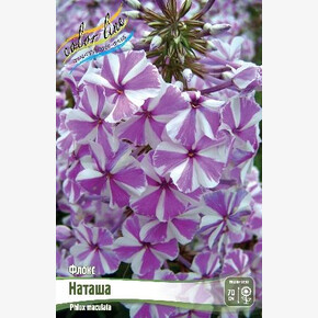 ФЛОКС НАТАША