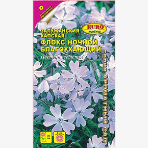 Флокс Ночной/ Залужанския капская / Аэлита