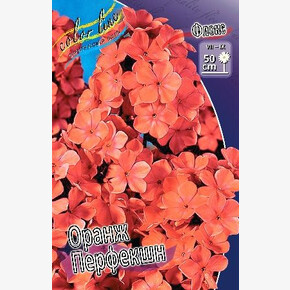 ФЛОКС ОРАНЖ ПЕРФЕКШИОН