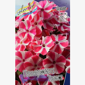 ФЛОКС ПЕПЕРМИНТ ТВИСТ