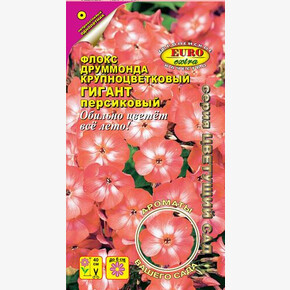 Флокс Персиковый джем друмм. 0,1г/ Аэлита Экстра