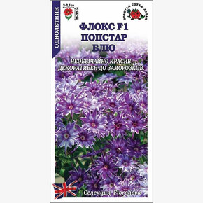 Флокс Попстар Блю /Сотка/ 5шт/ h-25-30см d-2,5см/*500
