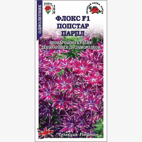 Флокс Попстар Парпл /Сотка/ 5шт/ h-25-30см d-2,5см/*500