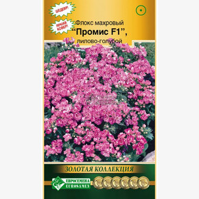 Флокс Промис F1 лилово-голубой/ Евросемена