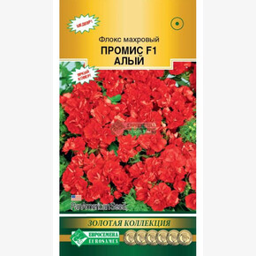 Флокс Промис,алый/ Евросемена