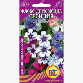 Флокс Сесилия /0,1 гр Дем Сиб/