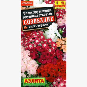 Флокс Созвездие смесь /Аэлита/