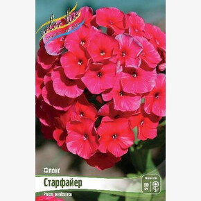 ФЛОКС СТАРФАЙЕР