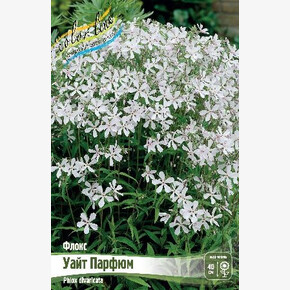 ФЛОКС УАЙТ ПАРФЮМ