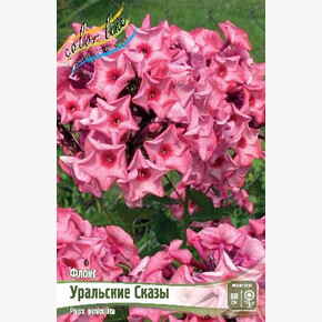 ФЛОКС УРАЛЬСКИЕ СКАЗЫ