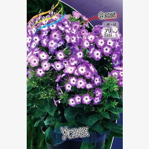 ФЛОКС УСПЕХ