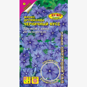 Флокс Черничный мусс друммонда 0,1г/ Аэлита Экстра