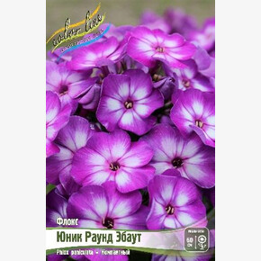 ФЛОКС ЮНИК РАУНД ЭБАУТ