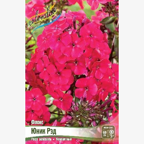 ФЛОКС ЮНИК РЭД