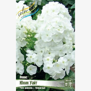 ФЛОКС ЮНИК УАЙТ