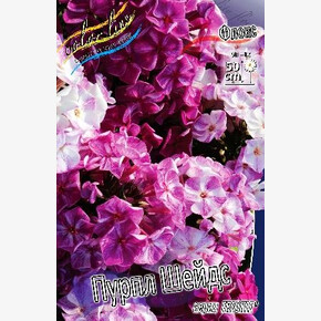 ФЛОКС FRECKLE® ПУРПЛ ШЕЙДС