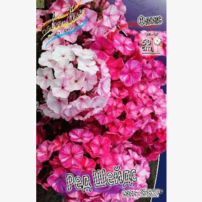 ФЛОКС FRECKLE® РЕД ШЕЙДС