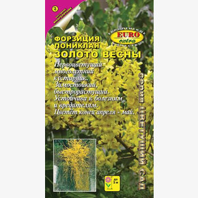 Форзиция Золото весны 0,1г/ Аэлита Экстра