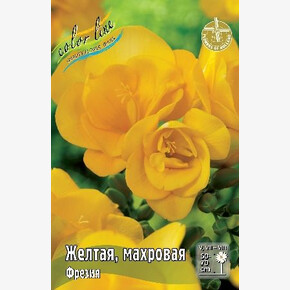ФРЕЗИЯ ЖЕЛТАЯ, МАХРОВАЯ