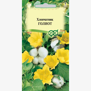 Хлопчатник Сахарная Вата/ Гавриш