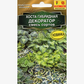 Хоста Декоратор смесь 5шт/ Аэлита