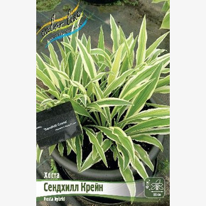 ХОСТА СЕНДХИЛЛ КРЕЙН
