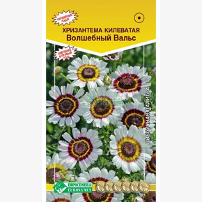 Хризантема ВОЛШЕБНЫЙ ВАЛЬС (0,2 гр)/ Евросемена