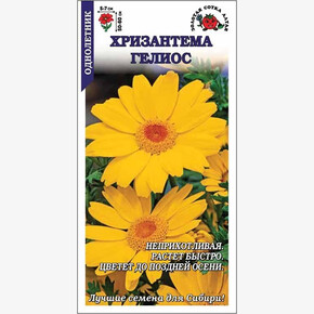 Хризантема Гелиос посевная /Сотка/ 0,3г/ *1000