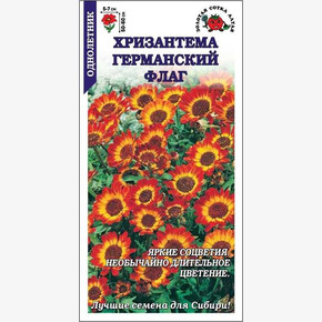 Хризантема Германский Флаг /Сотка/ 0,2г/ h-50-60см d-5-7см /*1200