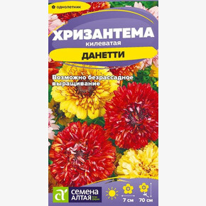 Хризантема Данетти /Сем Алт/цп 0,1 гр.