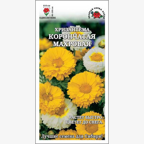 Хризантема Корончатая махровая /Сотка/ 0,2г/ смесь h-80-100см d-6-8см/*1200